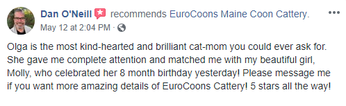 A review of eurocoons cat-mom 's birthday