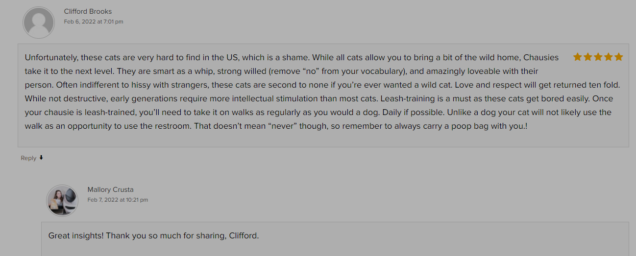 A screenshot of the email from clifford.