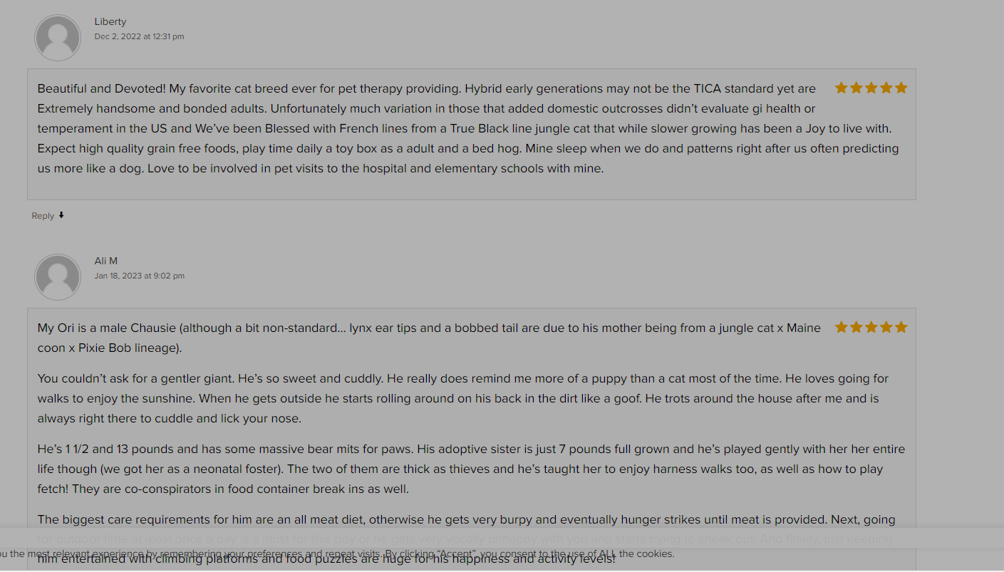 A page of text with two paragraphs and one paragraph.