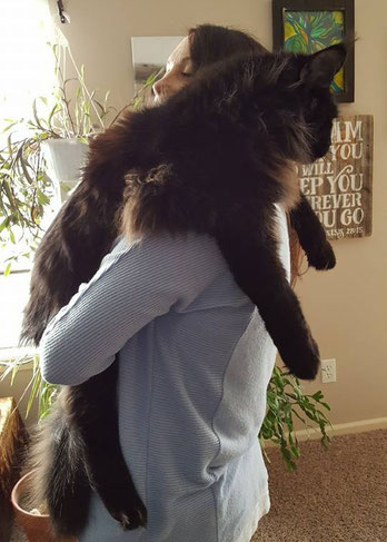 A person holding a large black cat in their arms.