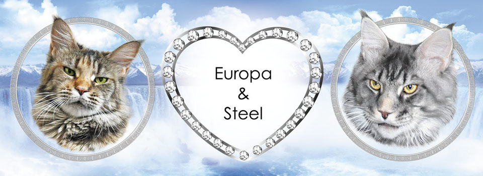 A heart shaped frame with diamonds in the middle of it.