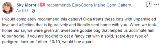 A review of olga treats for cats