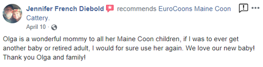 A person is reading a review of their home.
