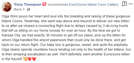 A review of the airport that is being used for air travel.