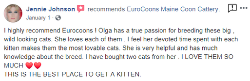 A review of the cat that is being offered for sale.