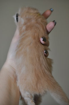 A person holding their hand up to the side of it.
