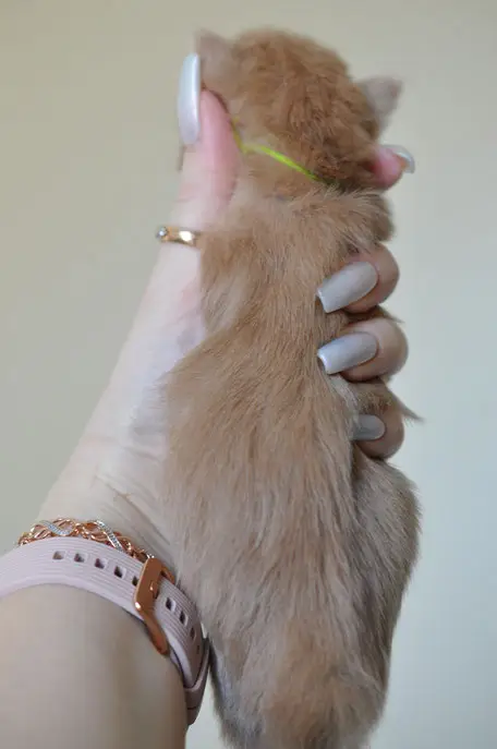 A person holding their hand out to someone