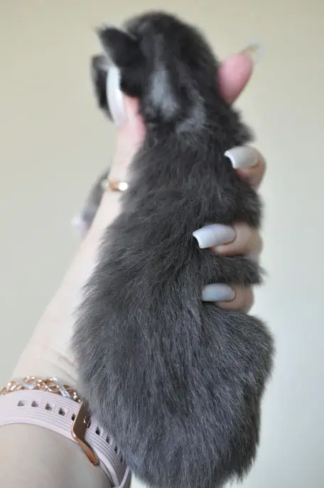 A person holding their hand up to the side of it.