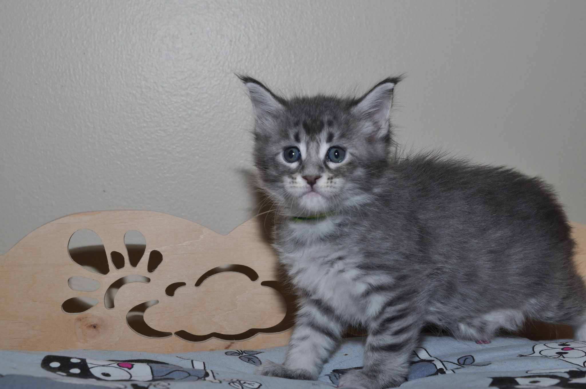 A cat standing next to a wooden bear claw.