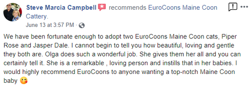 A review of eurocoons makeup artist