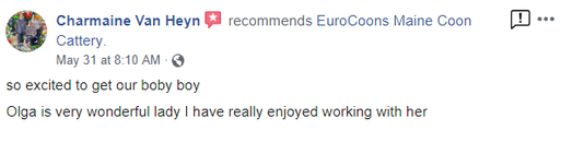A review of eurocare is shown on the yelp page.