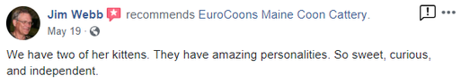 A person is reading an article on eurocoons.