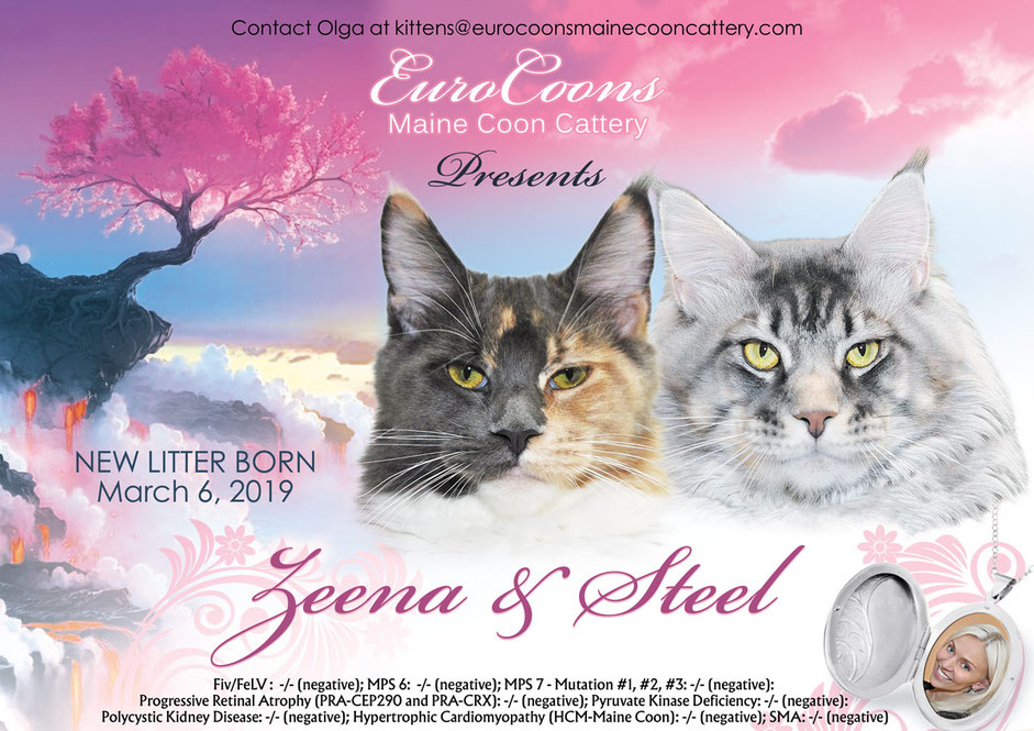 A poster of two cats with trees in the background.