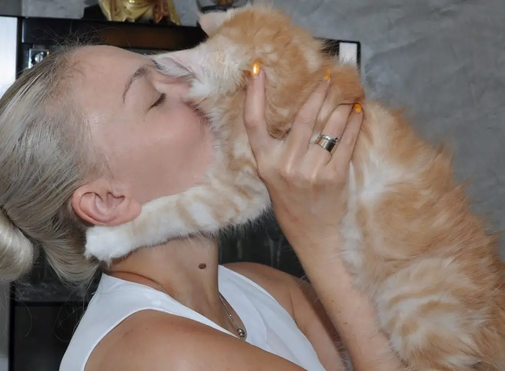 A woman is kissing her cat on the cheek.