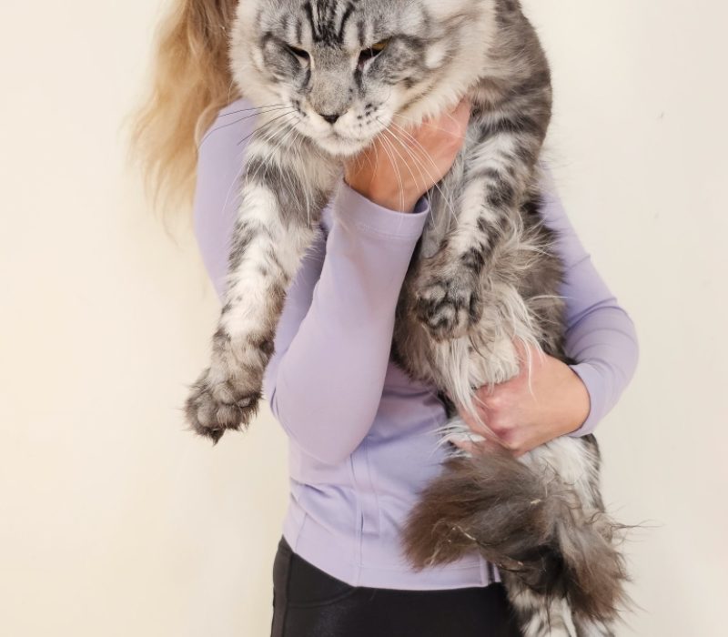 A woman holding a cat in her arms.