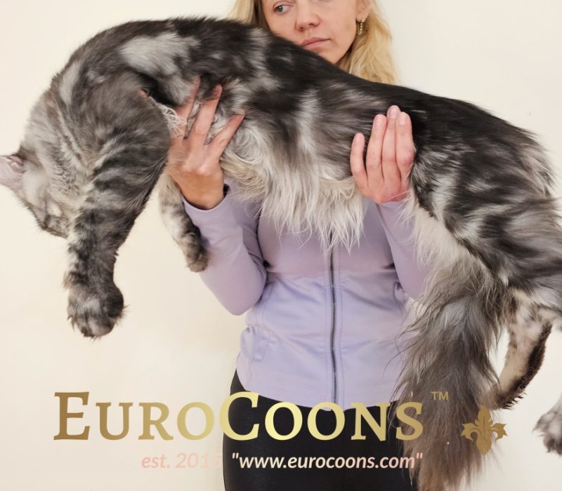 A woman holding a cat in her arms.